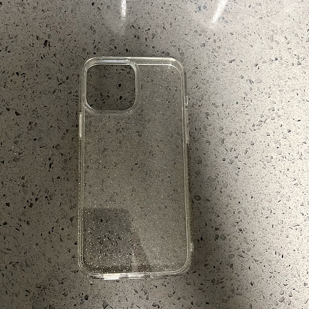 iPhone 13 Pro Max Case